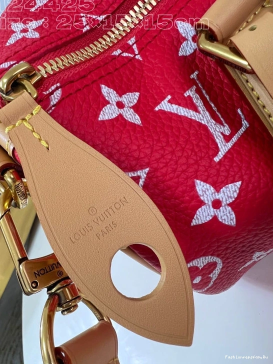 FS CHEAP 25 SPEEDY Louis Vuitton 0724